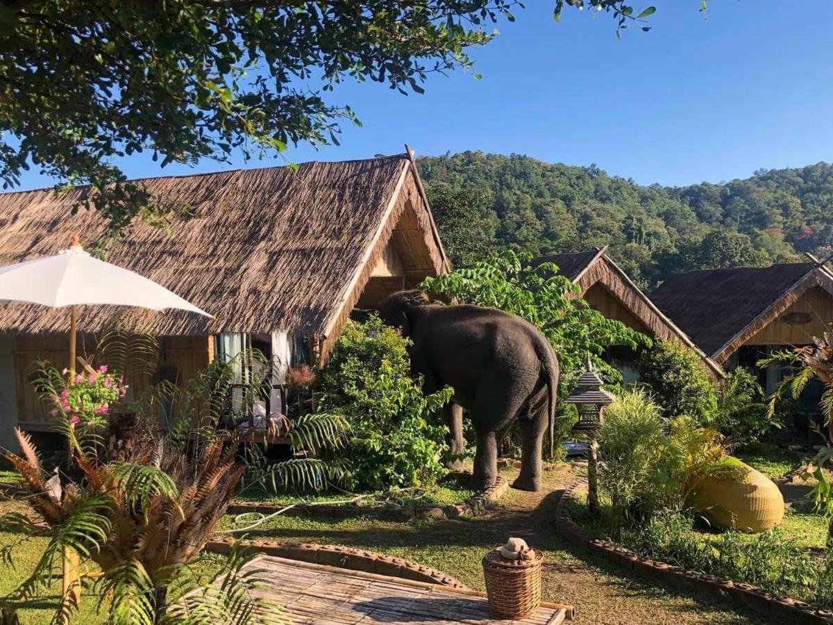 3 Pok Maewang Jinxiang Gold Elephant Park Mae Wang Exterior foto