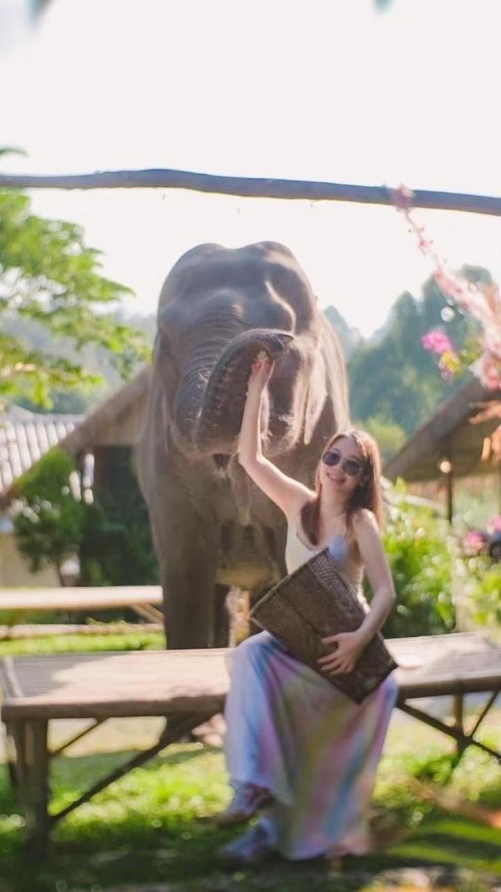 3 Pok Maewang Jinxiang Gold Elephant Park Mae Wang Exterior foto