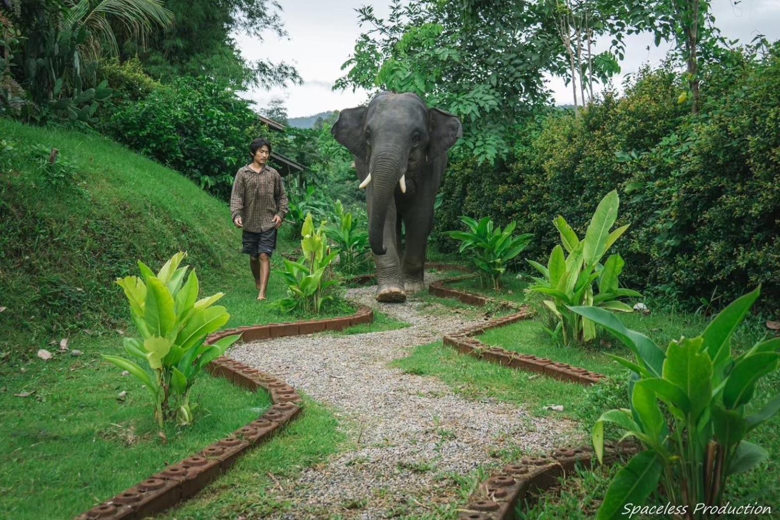 3 Pok Maewang Jinxiang Gold Elephant Park Mae Wang Exterior foto